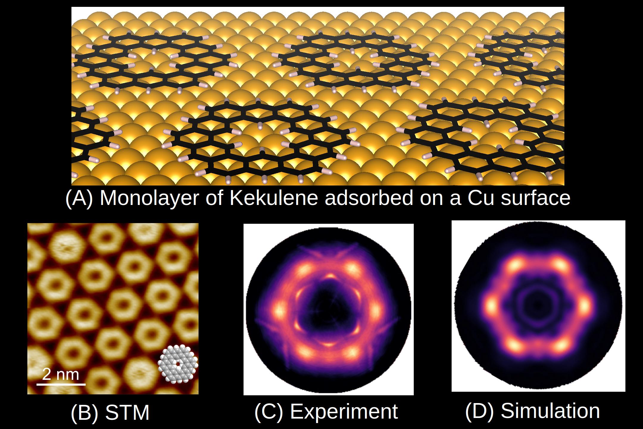 Foto: UniGraz/Puschnig 