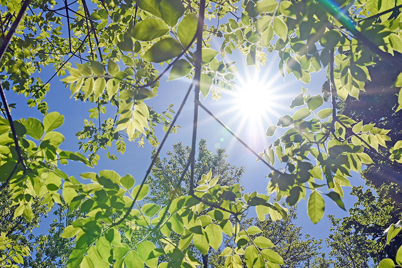 Die Sonnenstrahlen bringen Zuversicht. Wie wir uns die verlorene Freiheit zurückholen und sie genießen können, berichtet die aktuelle Unizeit. Foto: Uni Graz/Tzivanopoulos 
