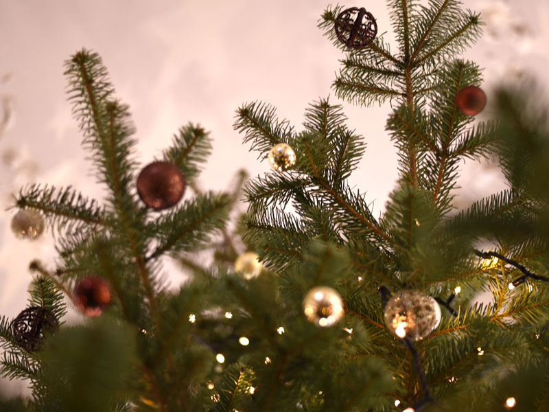 Während der Weihnachtsfeiertage, also von 23. Dezember 2017 bis zum 7. Jänner 2018, gelten geänderte Öffungszeiten der Uni.Gebäude. Foto: Uni Graz/Tzivanopoulos ©Uni Graz/Tzivanopoulos