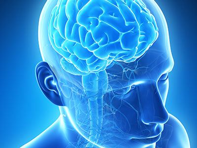 Bei ACHTUNG FORSCHUNG! am 14. November 2015 dreht sich alles um die faszinierenden Fähigkeiten unseres Gehirns. Foto: Sebastian Kaulitzki - Fotolia.com 