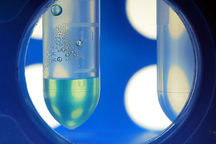 Grazer ForscherInnen nutzen durch Licht steuerbare künstliche Fettmoleküle zur Kontrolle von Zell- und Organfunktionen. Foto: Uni Graz/cp-pictures 