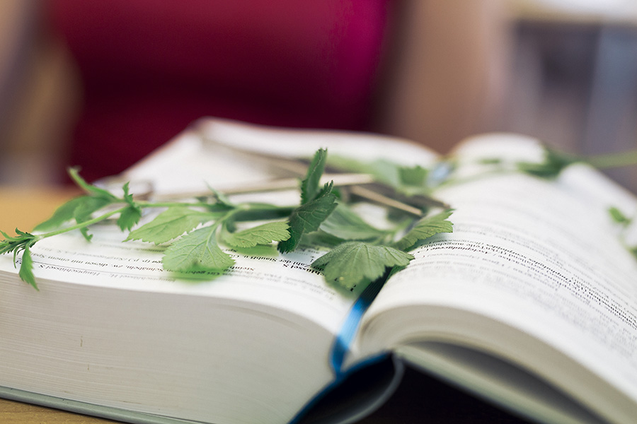 Den Diskurs über die Umwelt sowie die Wirkung der Sprache auf die Umwelt behandelt ein Symposium zur Ökolinguistik an der Uni Graz. Foto; Uni Graz/Kanizaj 