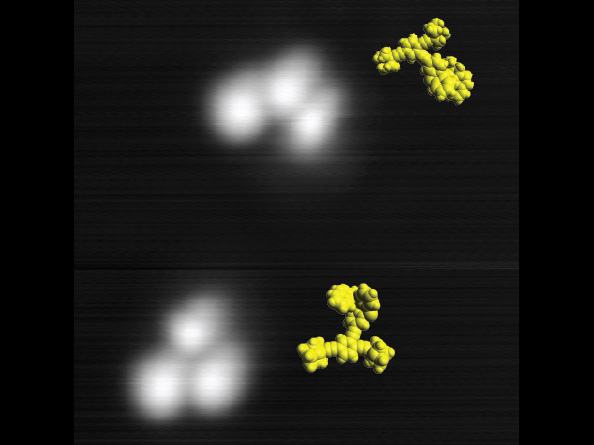 Bahnbrechende Entwicklung: Zwei Nano-Maschinen (weiß) auf einer 8x8 Nanometer großen Kupferoberfläche (grau), aufgenommen bei -267° mit einem Rastertunnelmikroskop. In Gelb die Molekül-Modelle der Maschinen. Foto: Uni Graz/Grill 