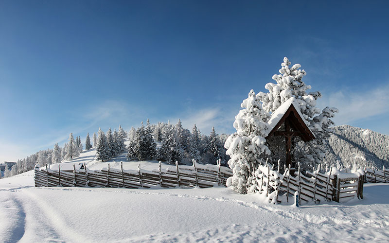 Das Almenland bietet BesucherInnen wunderschöne Natur (Foto: Bernhard Pölzl/pixelio.de) ... 