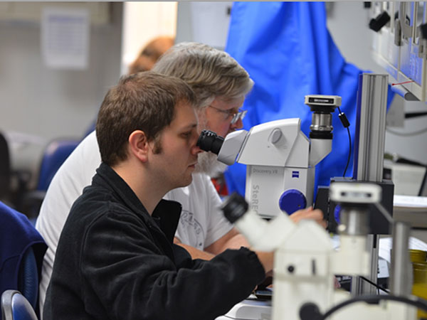 Patrick Grunert (vorne) bei der Arbeit auf dem Forschungsschiff. Foto: Lucas Lourens 