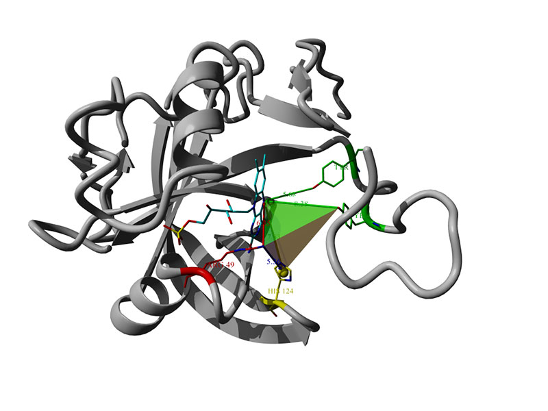 Schematische Darstellung der Struktur eines Old-Yellow-Enzyms: Das Suchtemplate „Catalophor“ ist als Tetraeder dargestellt. Bilder: Georg Steinkellner 