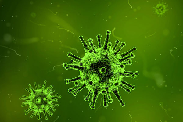 Wissen über Viren ist wichtig, um bei viralen Erkrankungen nicht die falschen Medikamente zu nehmen. Foto: pixabay 