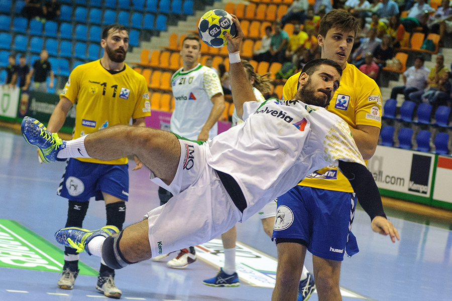 Dass einstudierte Spielmuster in der Praxis tatsächlich umgesetzt werden können, zeigen Sportwissenschafter am Beispiel Handball. Foto: pixabay.com 