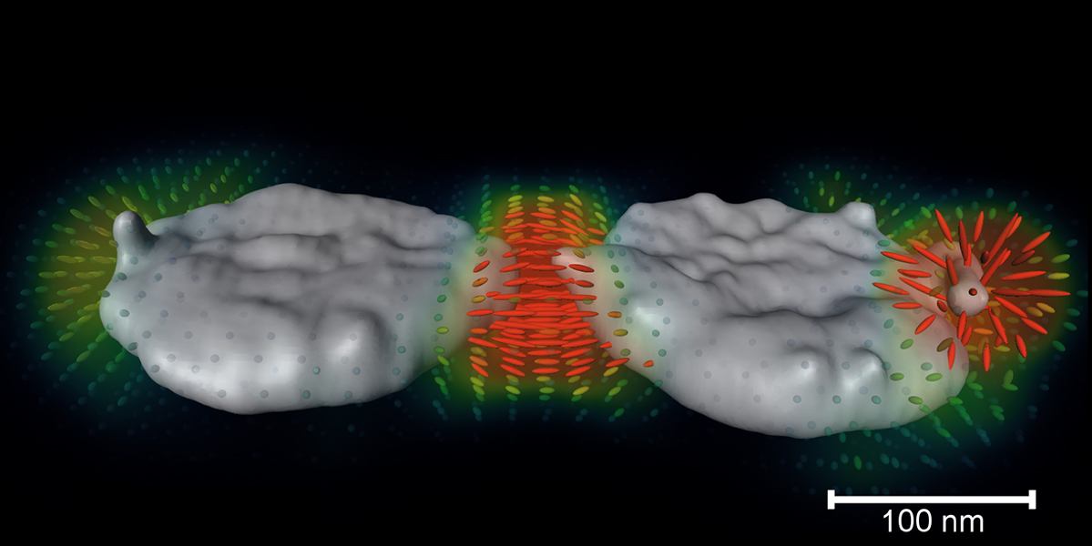 3D-Darstellung von Plasmonenfelder an Nanopartikeln. Foto: Haberfehlner - TU Graz 