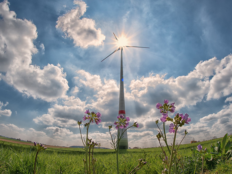 Die ForscherInnen betonen, dass Klimaschutz eine enorme Chance für Innovation sei. Foto: pixabay.com 