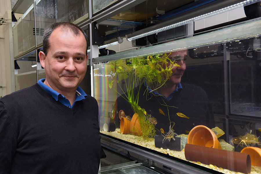 Boris Chagnaud ist seit 1. September 2018 Professor für Zoologie an der Universität Graz. Foto: Uni Graz/Pichler 