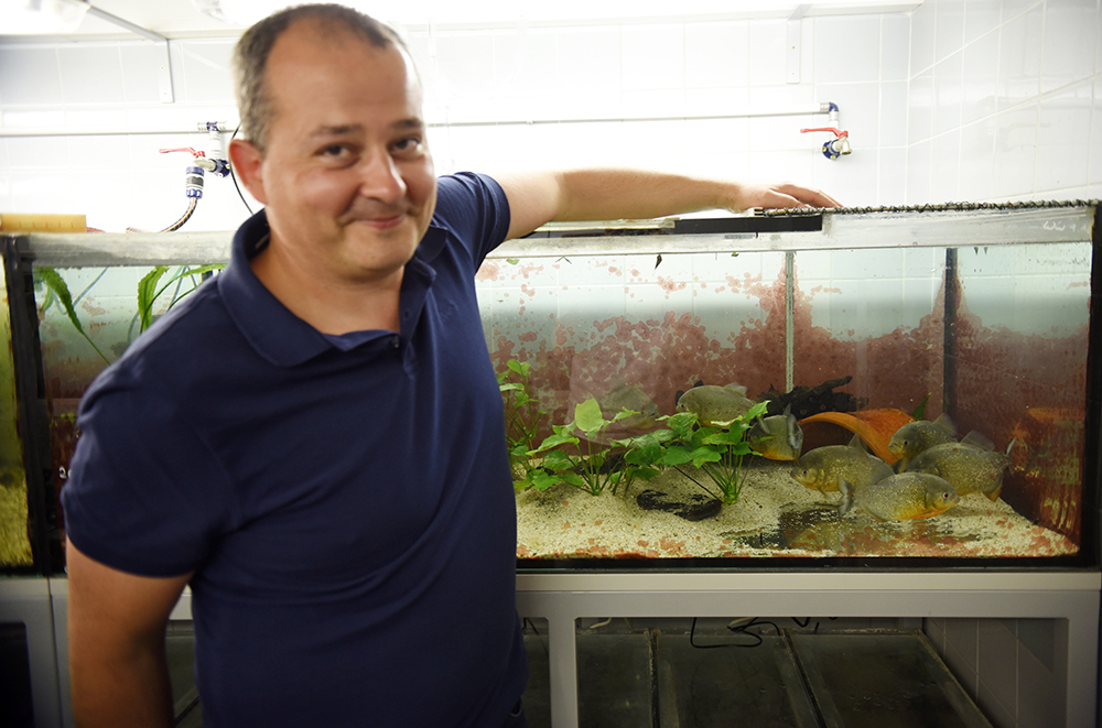 Neurobiologe Boris Chagnaud forscht mit kommunikativen Piranhas. Foto: Uni Graz/Schweiger  