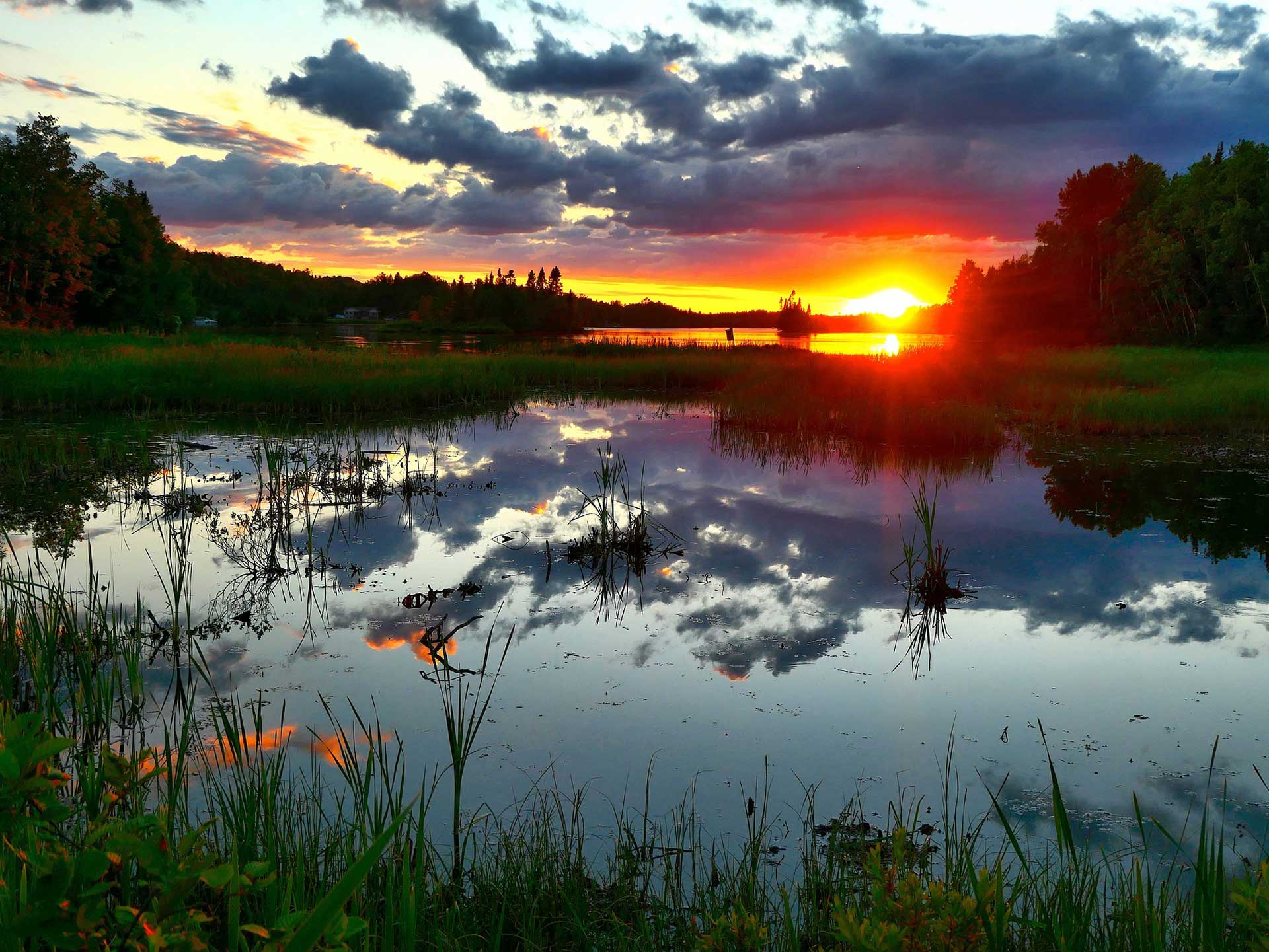 Teich im Wald bei Sonnenuntergang 