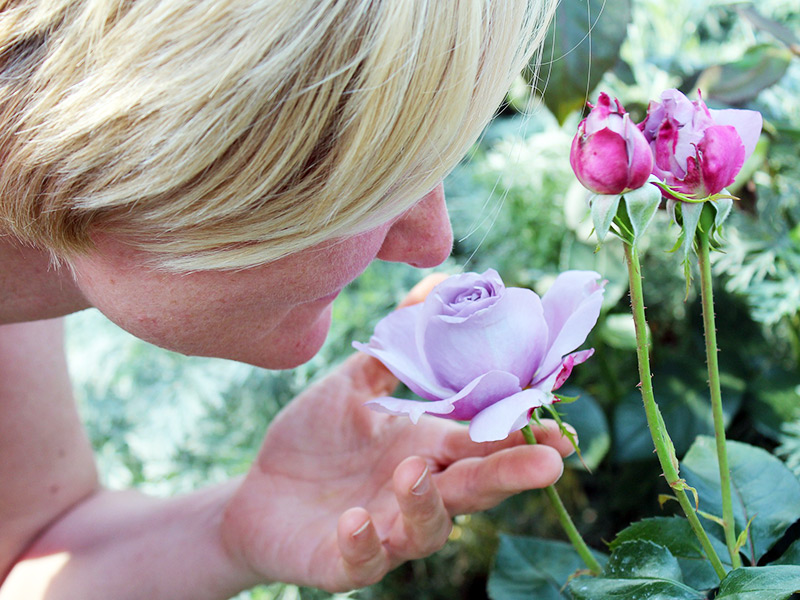 Das Riechvermögen wird unter Umständen von Mikroorganismen in der Nase beeinflusst. Eine Studie der Uni Graz soll Aufschluss geben. Foto: Pixabay 