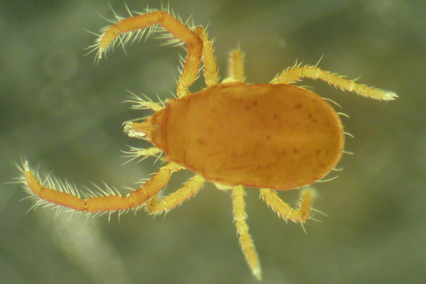 Neuer Lehrfilm aus den Uni Graz-Studios 