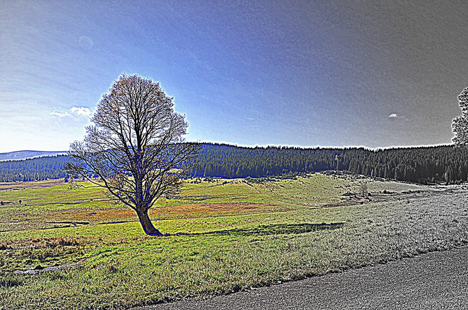 Der Böhmerwald: eine vielen unbekannte, geschichtsträchtige und landschaftlich reizvolle Grenzregion. Foto: Hanna Wisiak 