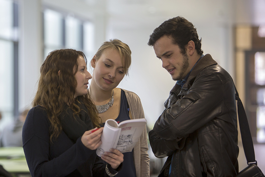 Die passenden Lehrveranstaltungen aussuchen und anmelden: Die Termine sind wie gewohnt nach Studien gestaffelt. Foto: Uni Graz/Lunghammer ©Helmut Lunghammer