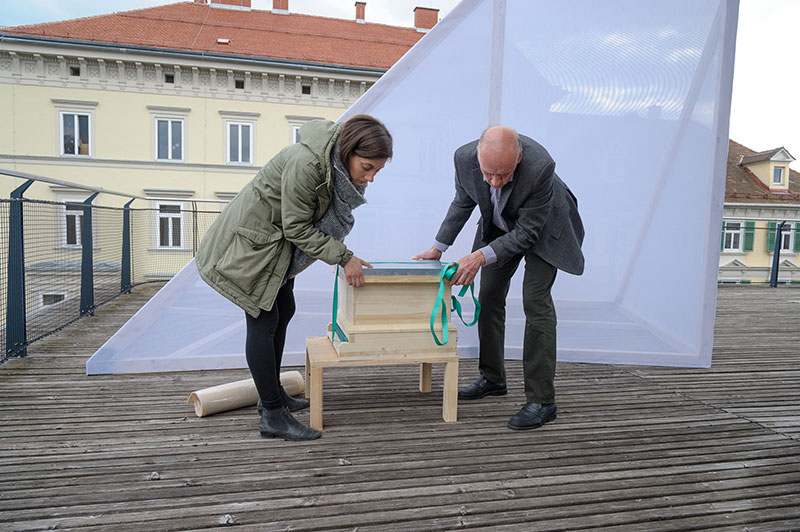 Sarah Bildstein und Maximilian Marek, Leiter des Steirischen Landesverbandes für Bienenzucht, stellten den "Bien" vor. Fotos: Universalmuseum Joanneum/N. Lackner 