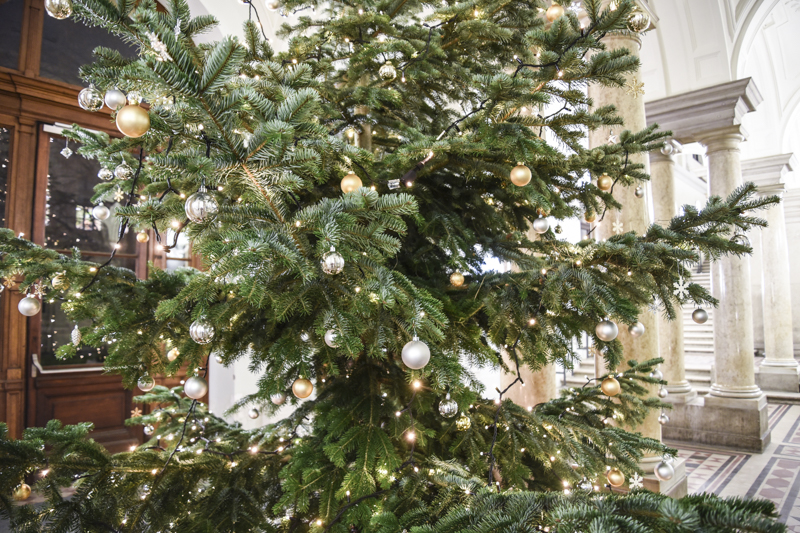 Die steirische Nordmanntanne wurde wieder von der Bank Austria gesponsert. Foto: Uni Graz/Schweiger 