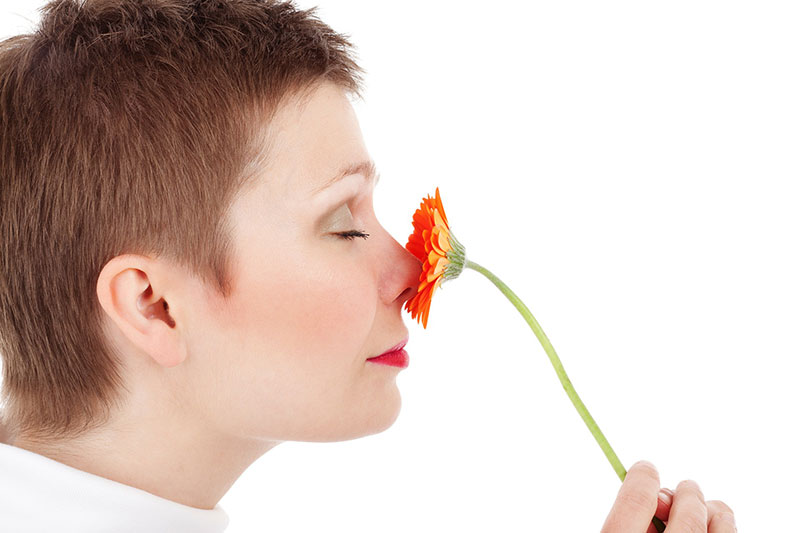 Ein intakter Geruchssinn ist ein wesentlicher Bestandteil für körperliche und psychische Gesundheit. Foto: PublicDomainPictures/pixabay.com 
