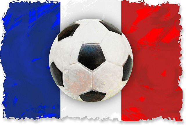 Die Fußball-Europameisterschaft in Frankreich beginnt in wenigen Tagen. Foto: Prawny/pixabay.com 