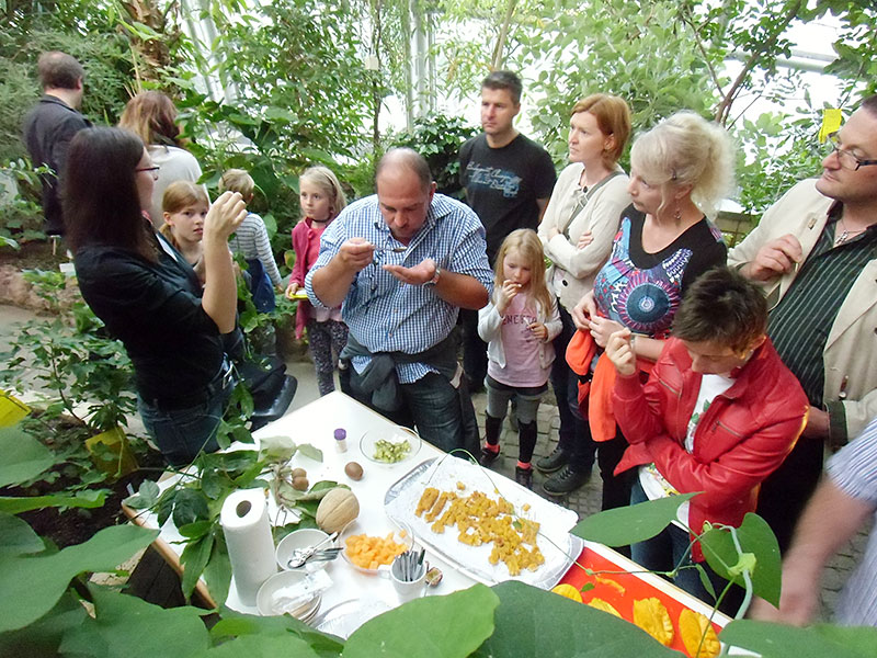 Wie die Pflanzen und Früchte, die in exotischen Cocktails verarbeitet werden, aussehen, erfuhren die BesucherInnen im Botanischen Garten. Foto: Uni Graz/Botanischer Garten 