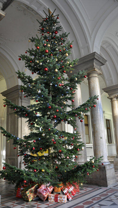 Beeindruckend: sechs Meter hoch ist die Tanne 