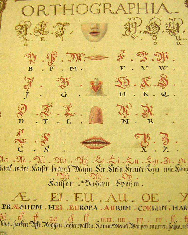 ... die Orthographie ... 