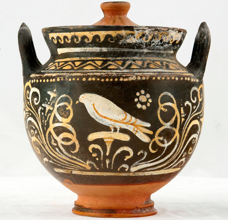 Die präsentierten Gefäße sind hervorragend erhalten. 