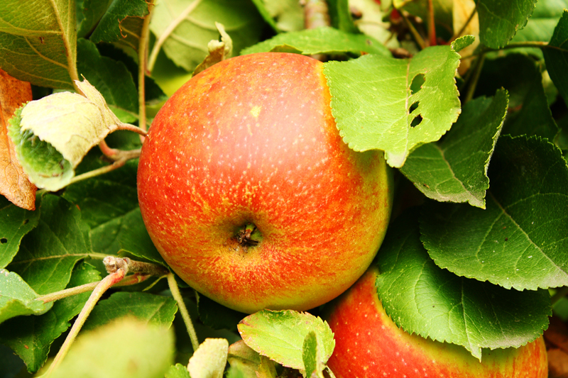 Foto: Heavy Blues/pixelio.de 