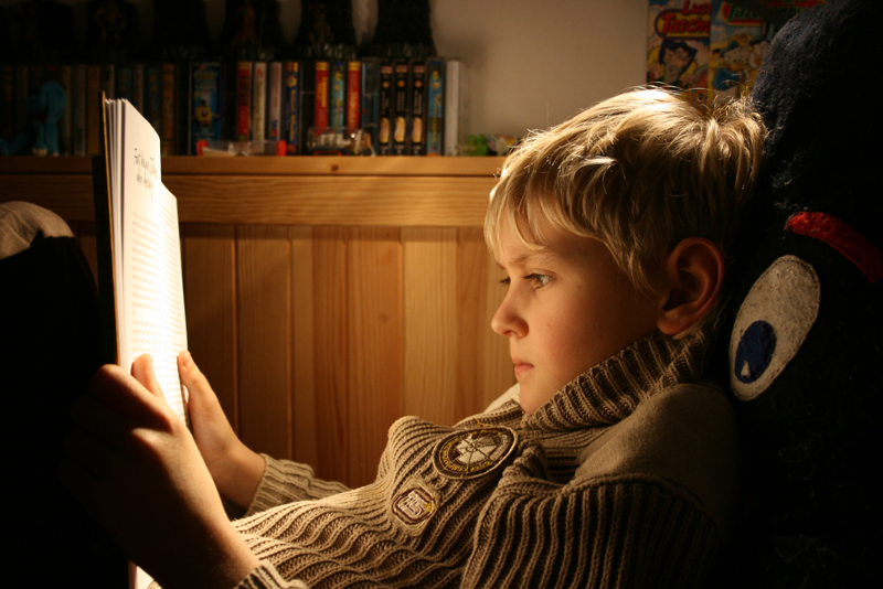 Mit Kinder- und Jugendliteratur setzt das neue Buch des Linguisten Alwin Fill auseinander. Morgen wird es präsentiert. Foto: Simone Peter/pixelio.de 