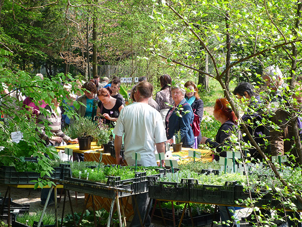Der Pflanzenraritätenmarkt im Botanischen Garten bietet alles, was das Herz begehrt - von Gemüse über Kräuter bis zu Heil- und Zierpflanzen. Foto: Uni Graz 
