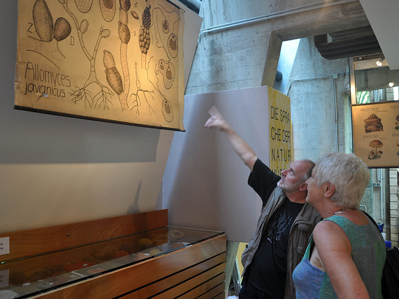 ... von wissenschaftlichen Erklärungen ... 