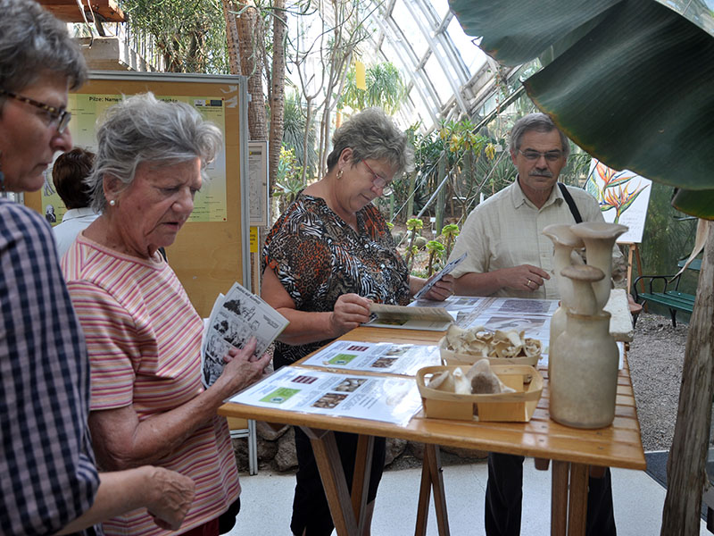 ... und vielem mehr. 