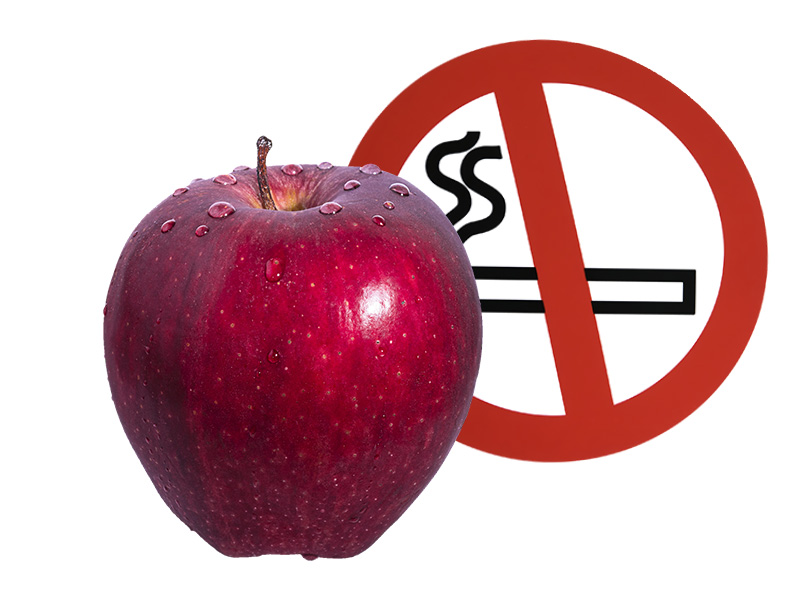 Anreize wirken besser als Verbote: Was das für gesetzliche Regelungen bedeutet, erörtert eine Tagung an der Uni Graz. Fotos: Pixabay 