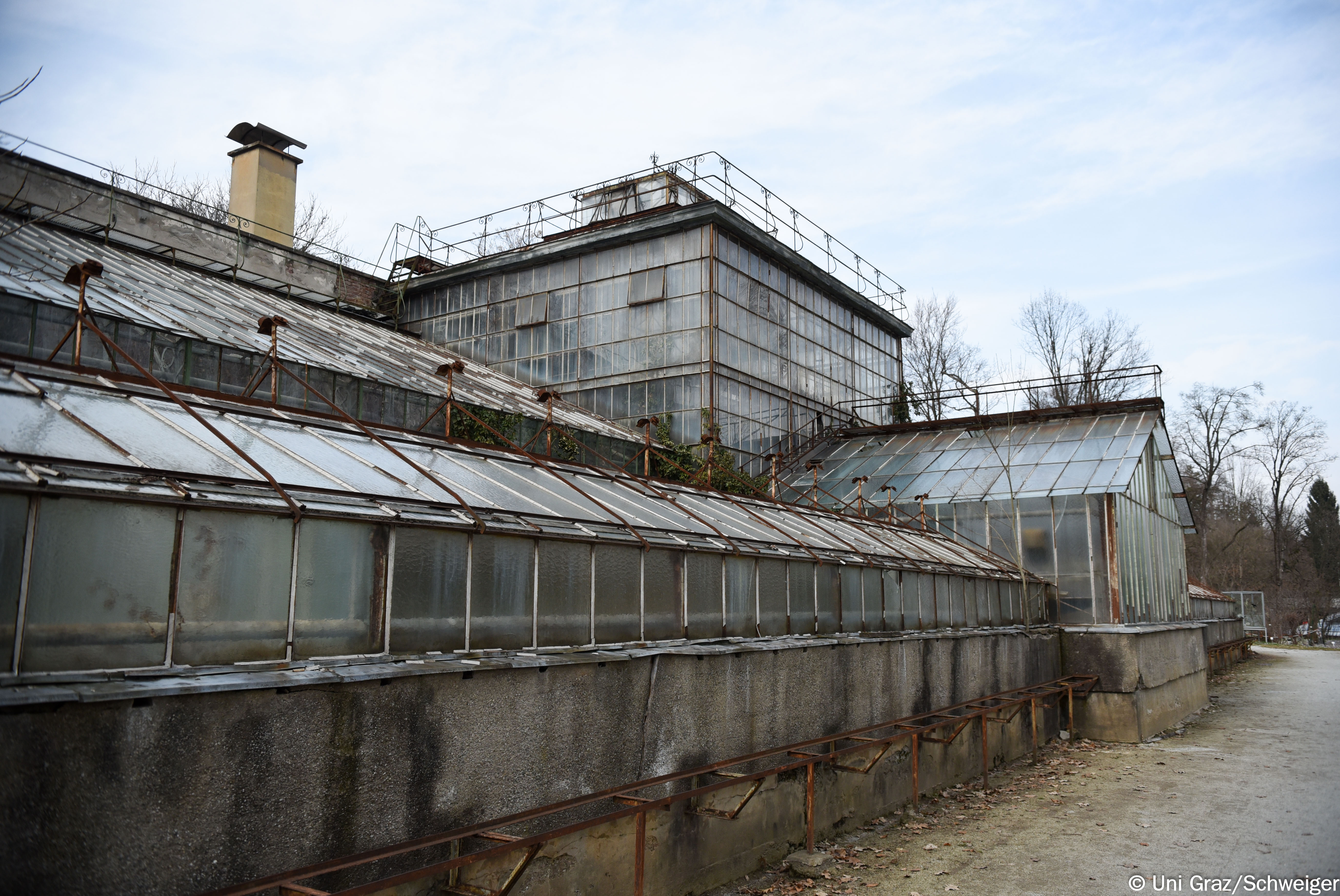 Das Alte Glashaus im Botanischen Garten wird saniert. Bis 2020 soll es wieder nutzbar sein. Foto: Uni Graz/Tzivanopoulos 