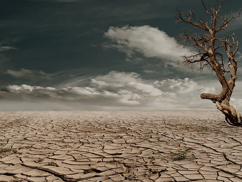 Der Klimabericht des Intergovernmental Panel on Climate Change (IPCC) belegt: Extremereignisse wie Hitzewellen, Starkregen und Dürren treten häufiger und heftiger auf. Handeln ist jetzt gefragt. Foto: pexels.com 