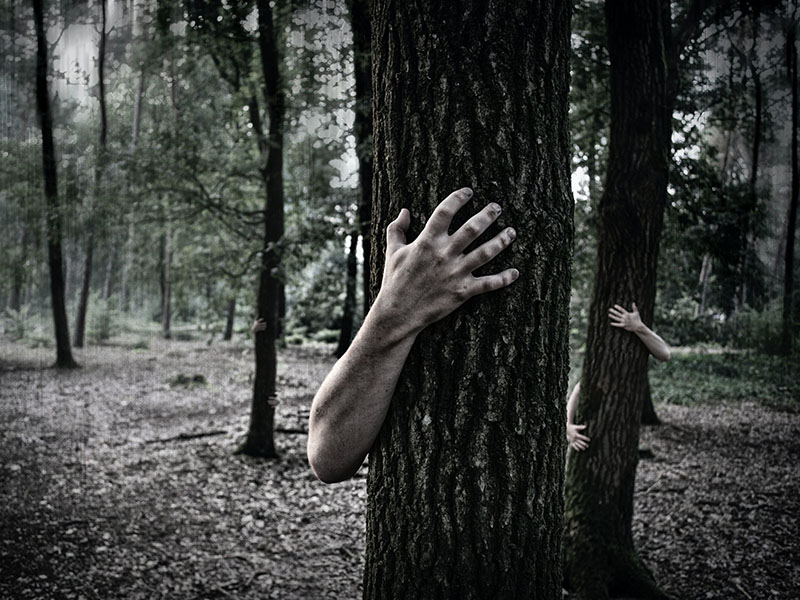 Science & Cinema: Zombies, Monsters and Mutants will take place on September 24 from 8 pm to 10 pm. Photo: Simon Wijers/unsplash.com 