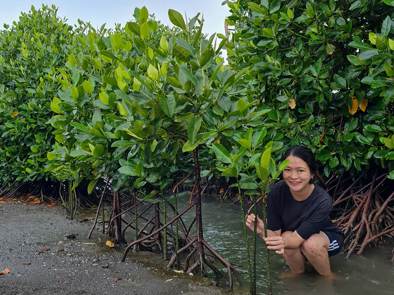 Yulia Ratnasari, selbst aus Indonesien und Gründerin des Karbon-Biru-Projekts, legt dabei auch persönlich Hand an. Hier ist sie beim Pflanzen von Mangroven zu sehen. Alle Fotos:  Yulia Ratnasari.  