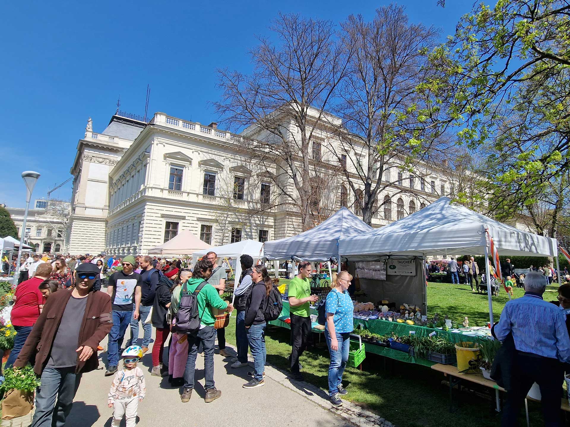 Prächtige Pflanzen und Prachtwetter beim Raritätenmarkt. Fotos: Uni Graz/Grube 