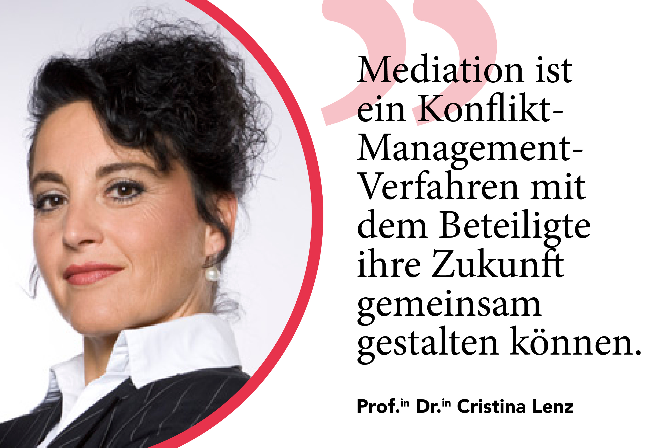 Lenz Statement - Mediation 