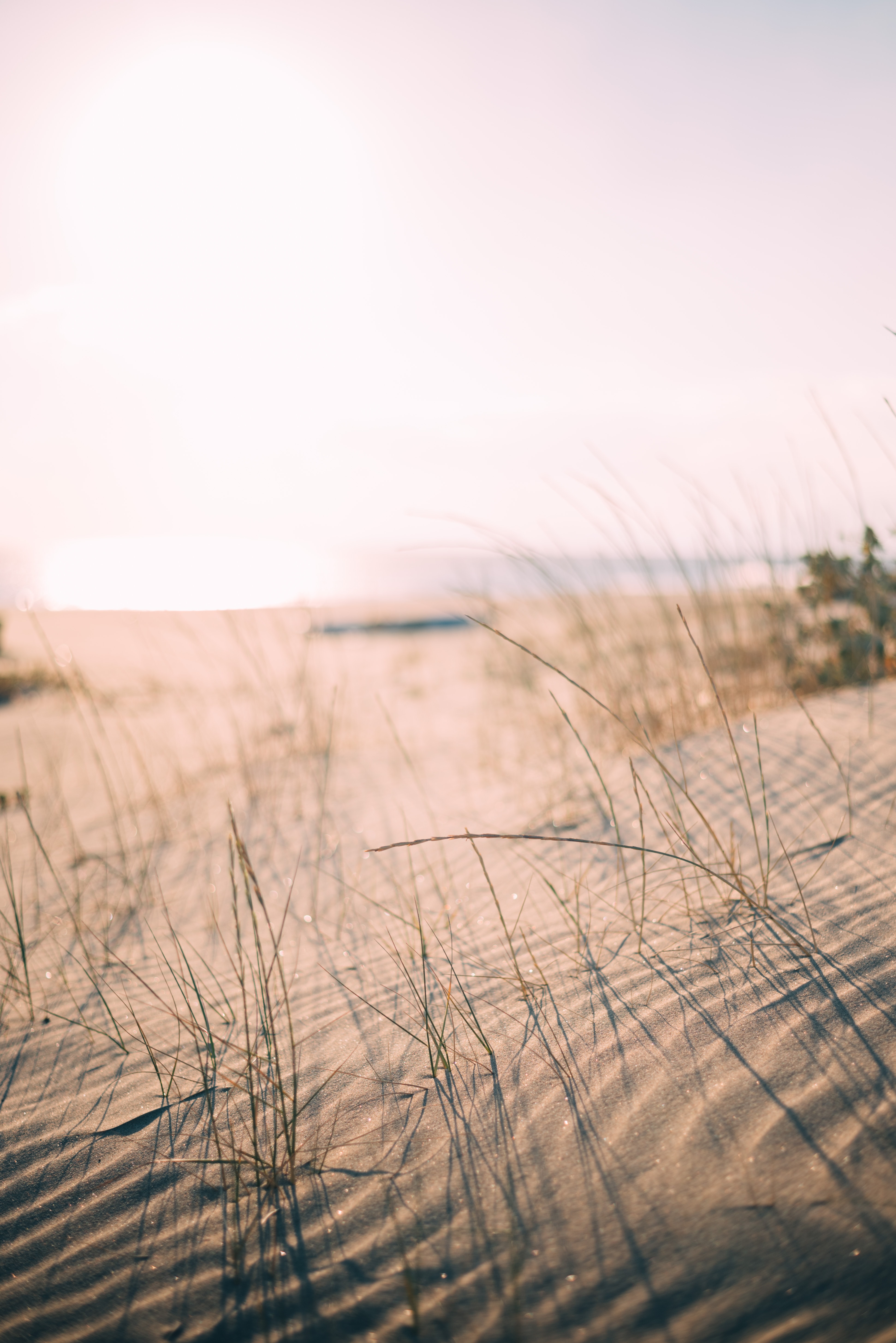 Dünen voll Sand, Sand im Getriebe, Lean Management 