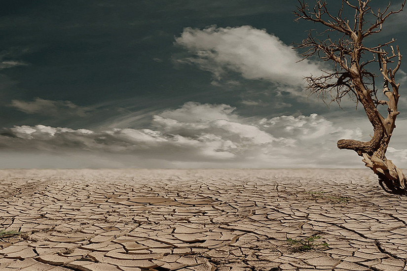 Ausgetrockenter Boden und verdorrter Baum vor dramatischer Wolkenstimmung. ©pexels.com