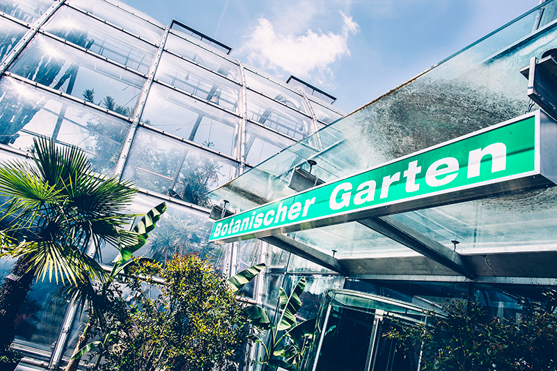 Der Botanische Garten ist Schauplatz der Skulpturen-Biennale. Foto: Uni Graz/Kanizaj. ©KANIZAJ MARIJA-M. | 2015